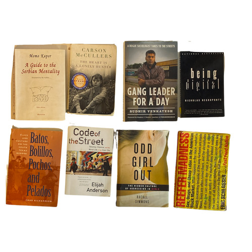 Lot anthropology sociology - anthropology,
