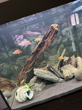 Acquario Juwel Lido 200
