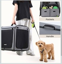 trasportino cani per auto
