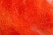 Doppiaggio coniglio angora - 2g,