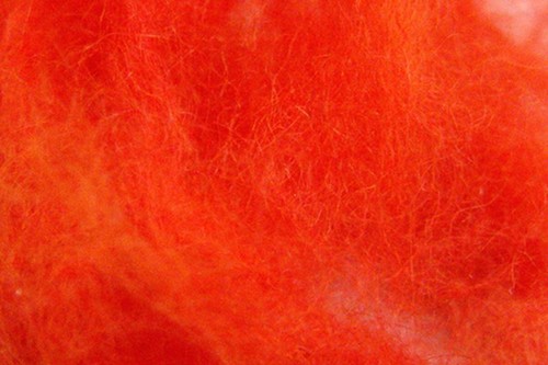 Doppiaggio coniglio angora - 2g,