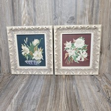 2 stampe botaniche vintage