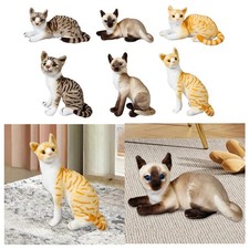 Gatto peluche gattino