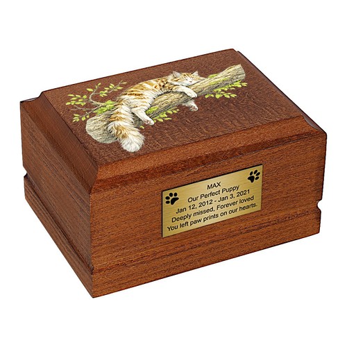 Urna cineraria legno per - urna,