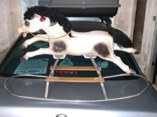 VINTAGE CAVALLUCCIO A DONDOLO IN PLASTICA CON CRINIERA SINTETICA LEGNO E METALLO