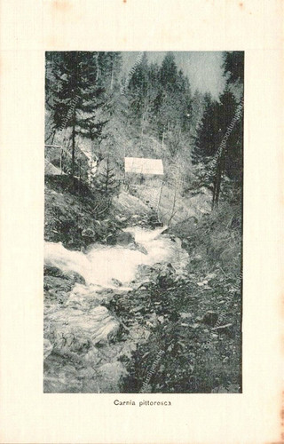 Eg14 cartolina carnia - cartolina,