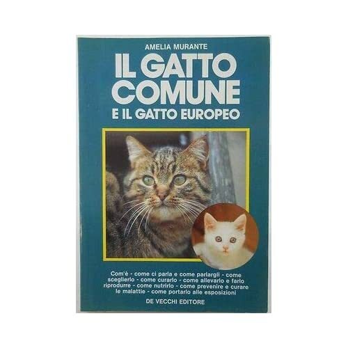 6541 libro gatto comune e - j,