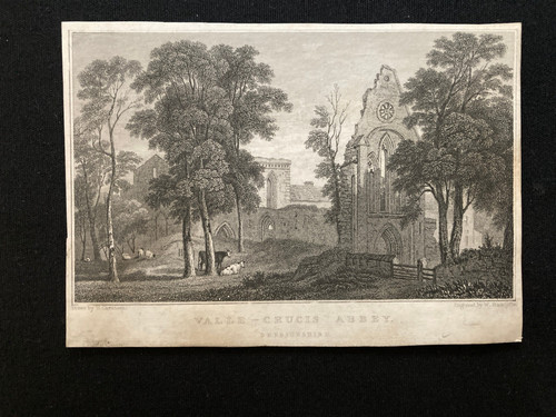 Valle crucis abbazia - valle,