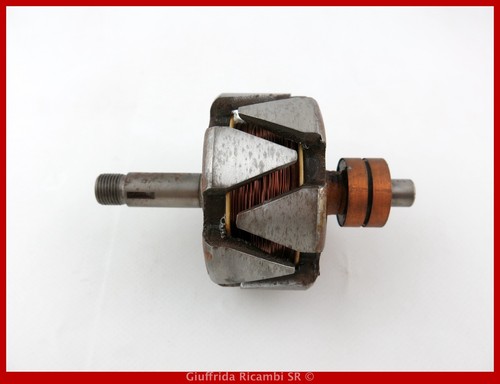 Rotore alternatore impianto - rotore,