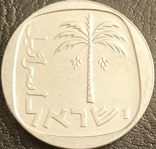 Israele moneta alluminio - moneta,