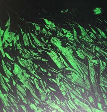  Mattia MORENI Un campo