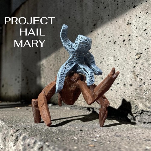 Progetto ave maria rocciosa - progetto,