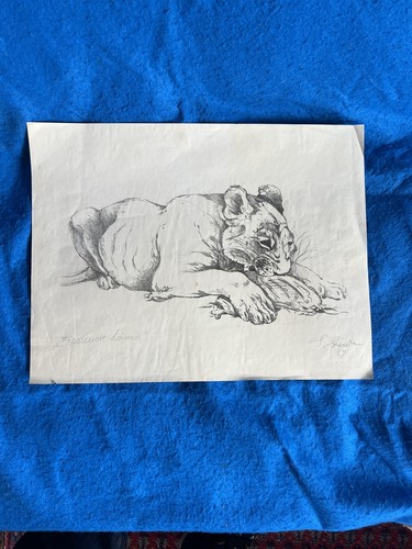 Quadro antico disegno leonessa