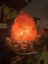 Lampada Di Sale Dell Himalaya Art. Unica in vetro su radice Sal 063 design 18 cm