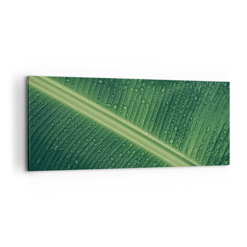 Quadro tela 100x40cm macro - tela,