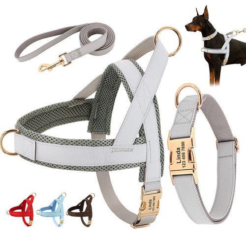 Collare guinzaglio per cani - guinzaglio,