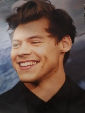 Poster Harry Styles