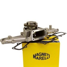 Pompa acqua + guarnizione per