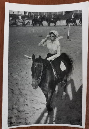 Bellissima donna cavallo - bellissima, a