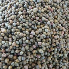 1kg capperi piccolini sotto