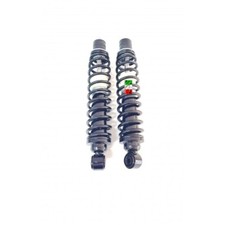 AMMORTIZZATORI POSTERIORI