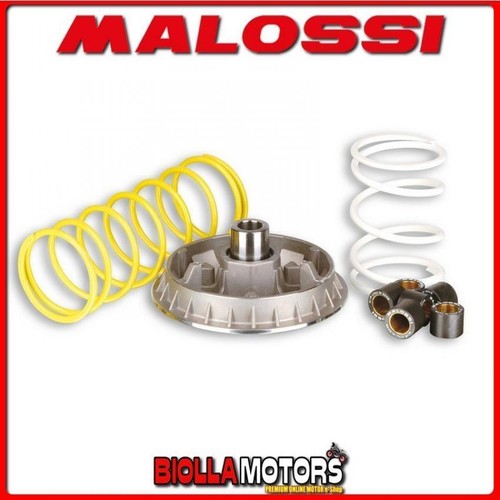 5111226 variatore malossi - variatore,