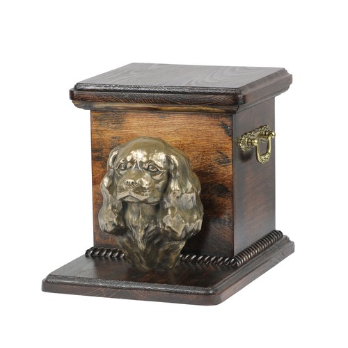 Cavalier king charles spaniel - charles,