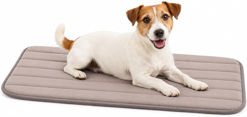 Cuccia cane cuscino - -,