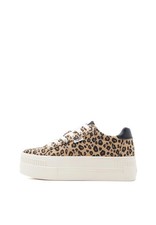 BUFFALO SNEAKERS PAIRED