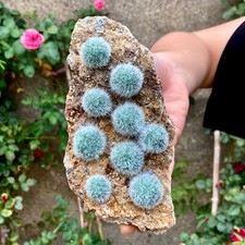 Cristallo di quarzo zeolite