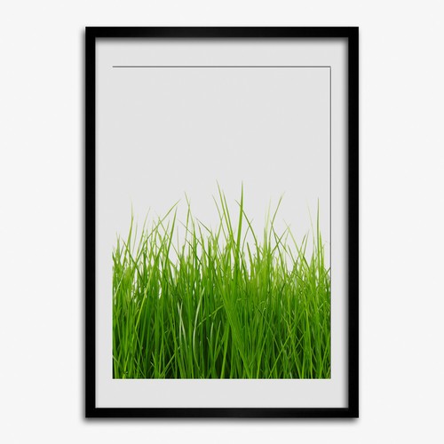 Quadro tulup mdf - mdf, incorniciato