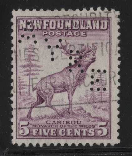 257 perfin ayre newfoundland - perfin,