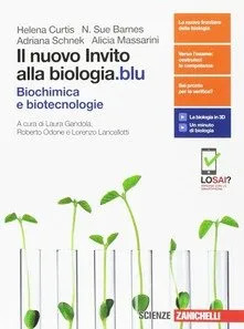 Nuovo invito alla - invito,