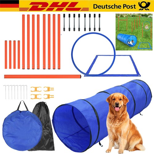 Agility dog training set - dog,