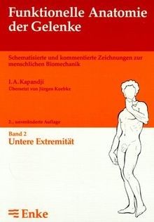 Funktionelle anatomie der - funktionelle,