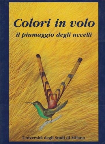 Piumaggio degli uccelli - il,