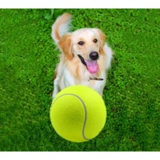 Grande Tennis 9,5 Pollici Pet