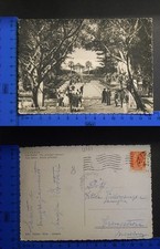 CATANIA (CT) - MERAVIGLIOSA