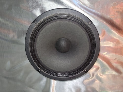 Peavey altoparlante pollici - altoparlante,