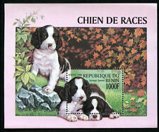 ENGLISH SPRINGER SPANIEL