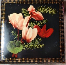 SCATOLA LATTA VINTAGE ANNI 50