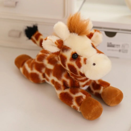 1pz giraffa carino - giraffa,
