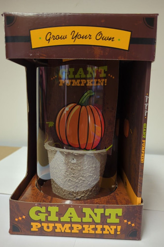 Grow giant pumpkin - grow, everything