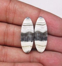 Zebra naturale calcite
