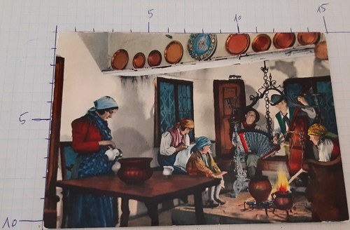 Costumi carnici ris - carnici,