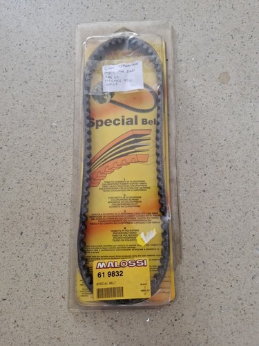 Cinghia speciale gilera - speciale,