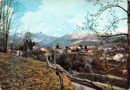 Cartolina favaro panorama 1970 - panorama,