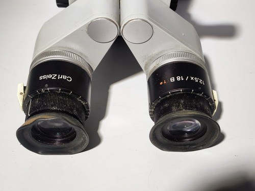 Ottica binoculare carl zeiss - ottica, f