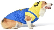 Abbigliamento Costume