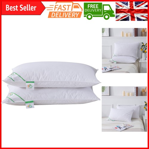 Luxury goose feather down - luxury,